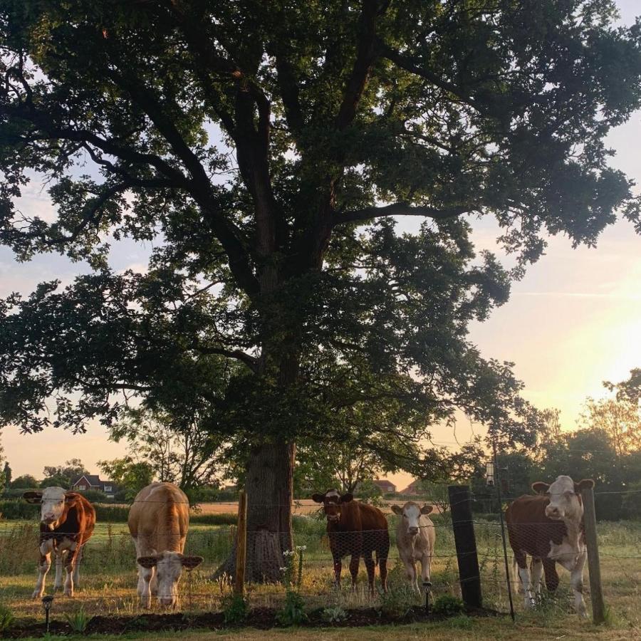 Thurlton Church Farm Bed & Breakfast エクステリア 写真